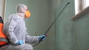 Best Commercial Mold Inspection  in Royersford, PA